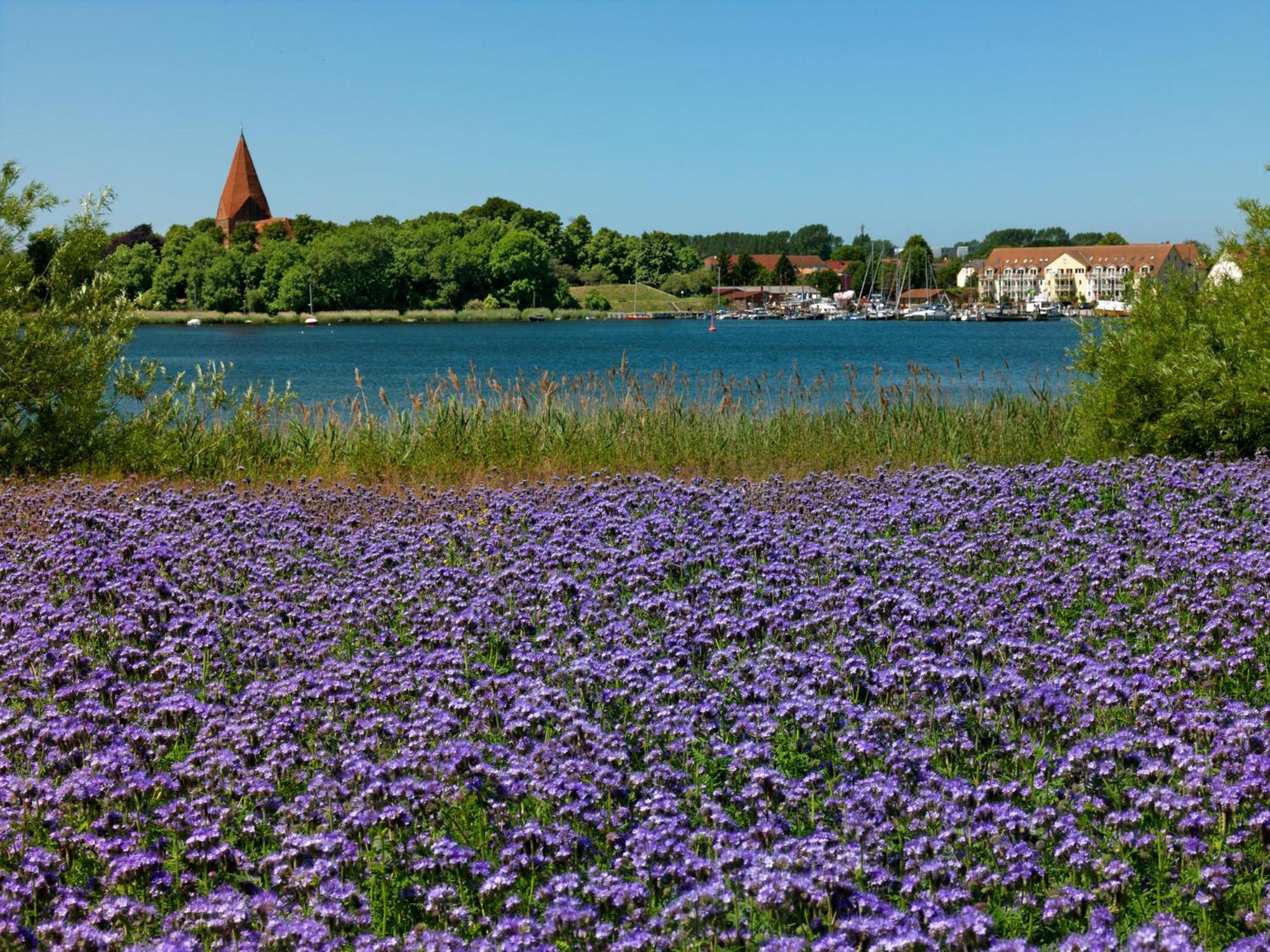 Einhusen Gute Stube Appartement Insel Poel Buitenkant foto