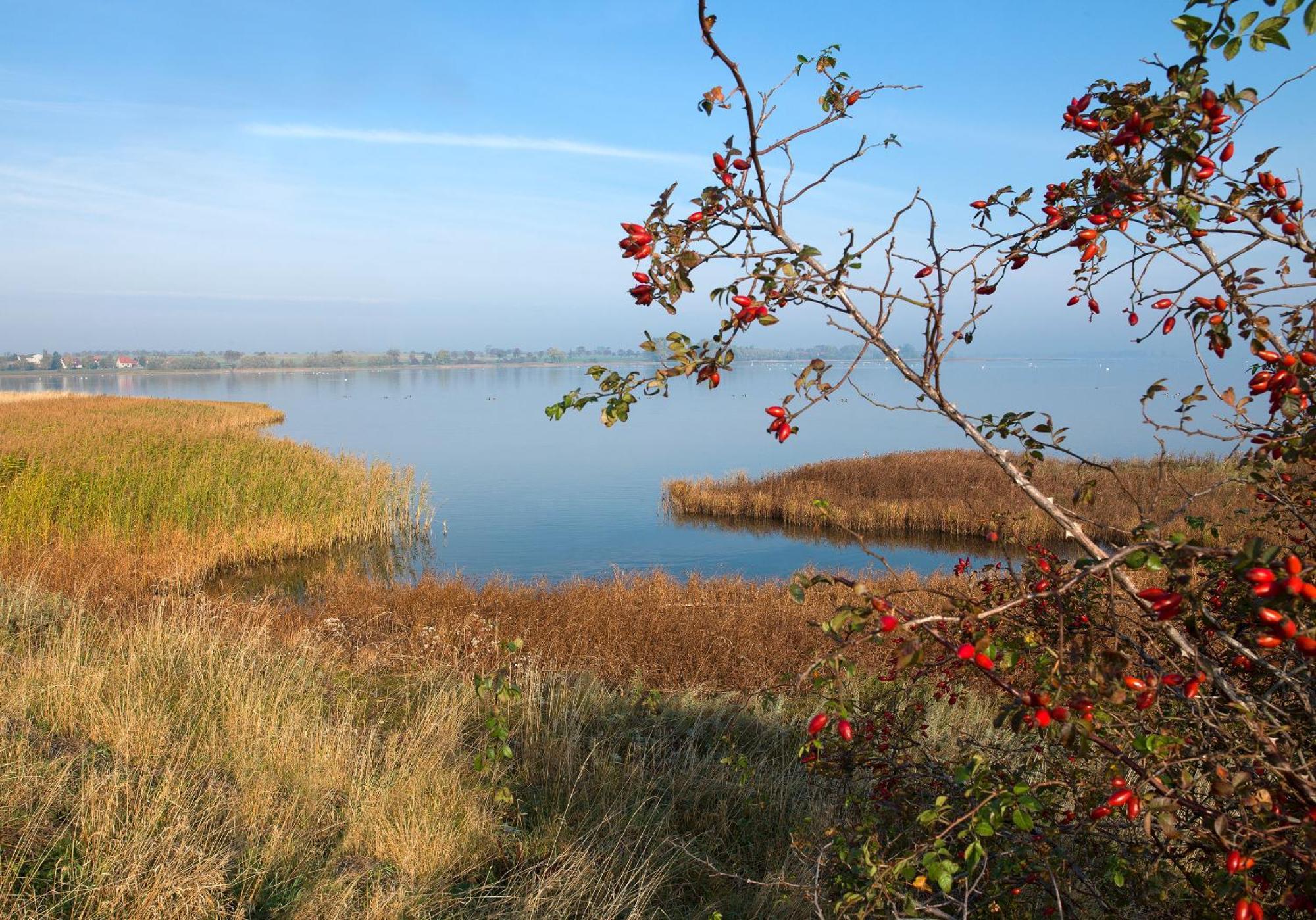 Einhusen Gute Stube Appartement Insel Poel Buitenkant foto